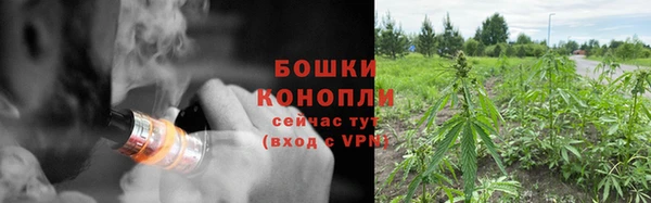 СК Михайловск