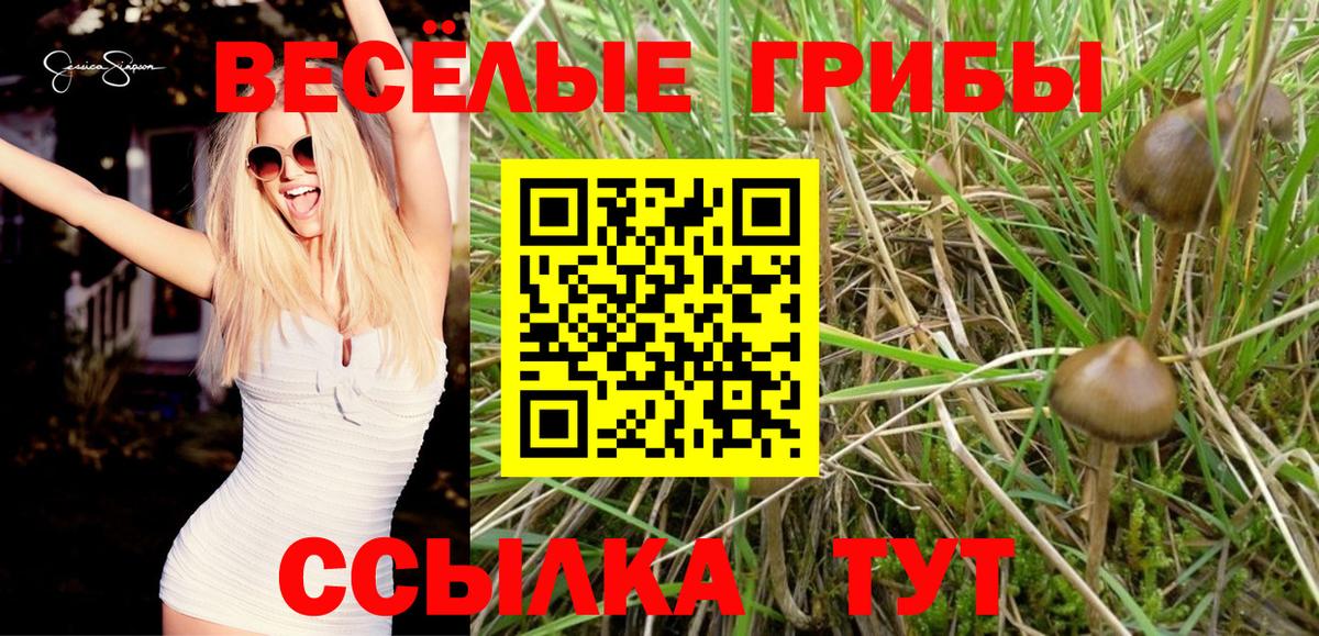 Лсд 25  Экстази  Кокаин  Как найти закладки?  Белая Калитва  ГАШ  Героин  МАРИХУАНА  Гашиш  МДМА  Вход с VPN  Меф МЯУ МЯУ   NBOMe 