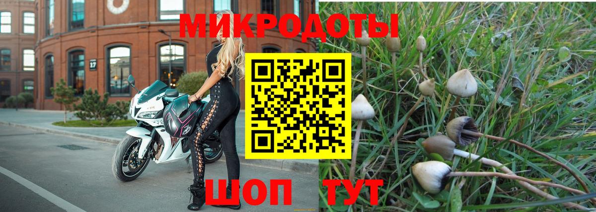Псилоцибиновые грибы Psilocybine cubensis  Вход с VPN  закладки  Белая Калитва 