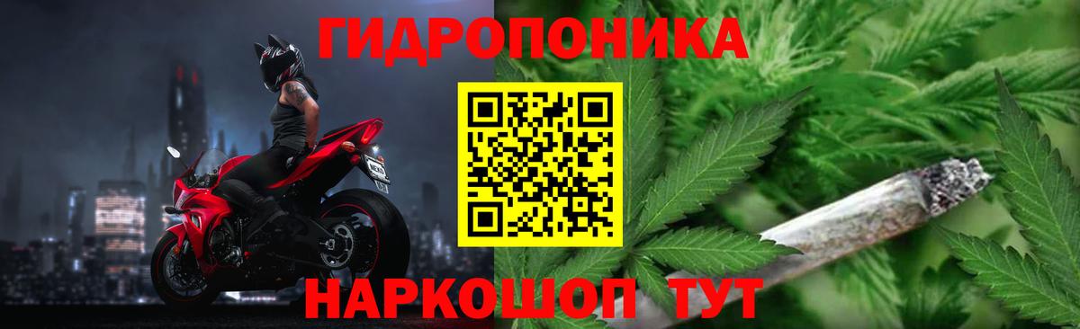 Шишки марихуана план  Вход с VPN  Белая Калитва  Бошки марихуана конопля  Шишки марихуана конопля 