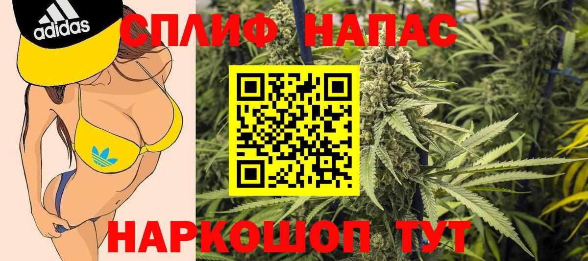 Канабис Bruce Banner  Белая Калитва  Каннабис гибрид  Бошки марихуана Bruce Banner 